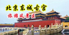 帅哥摸美女大腿和屁股中国北京-东城古宫旅游风景区